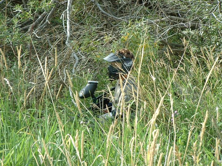 Waiting in ambush in the long grass