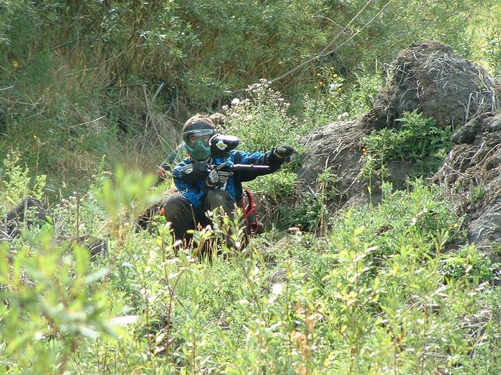 Crouched behind a rock, working up the side of a woods field