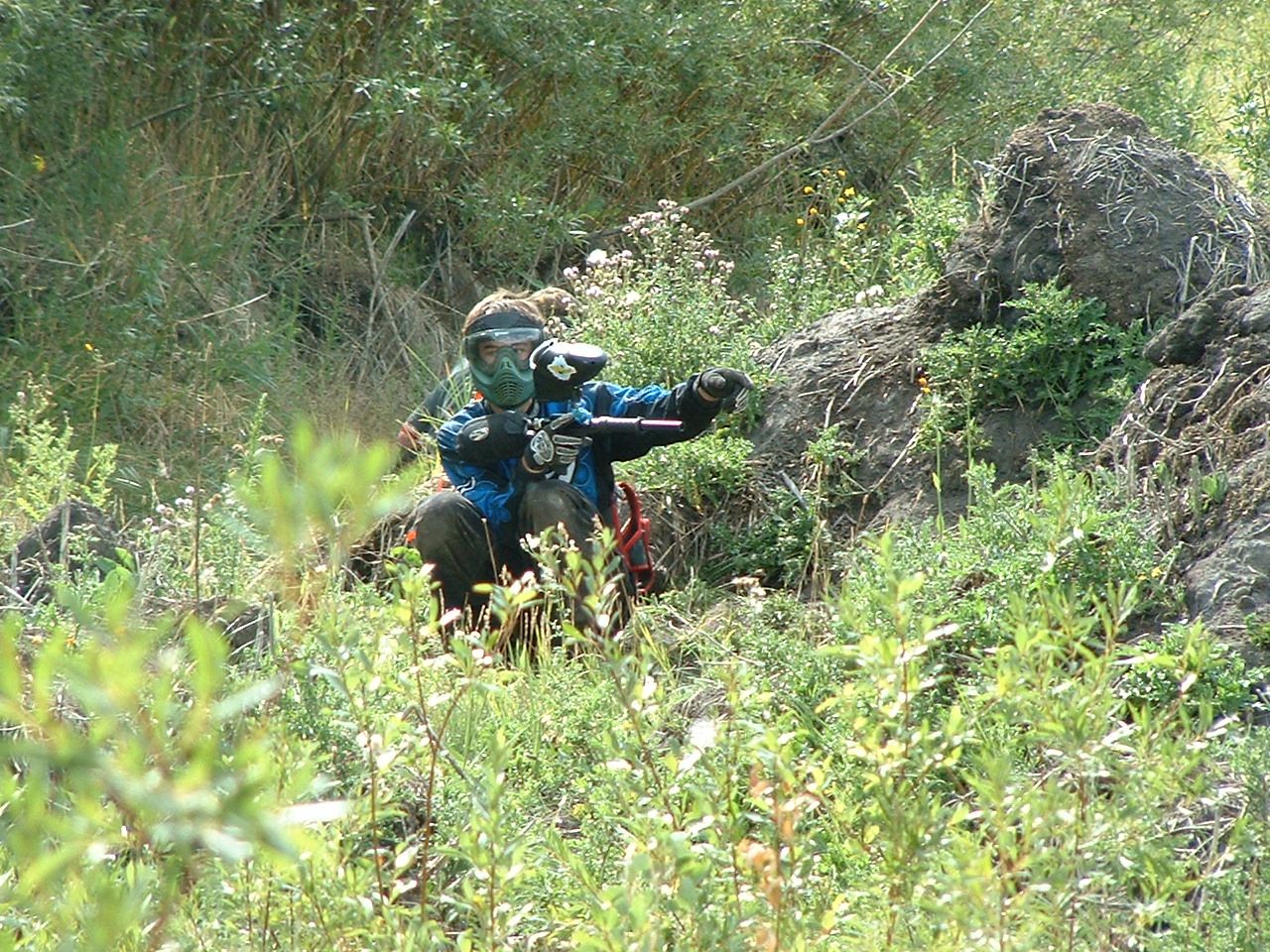 A player in a blue jersey crouched beside a rock, aiming down a woodsball field