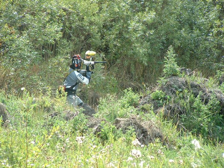 Pushing through the brush