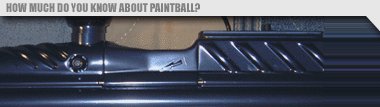 The original 2002 site banner: How much do you know about paintball?